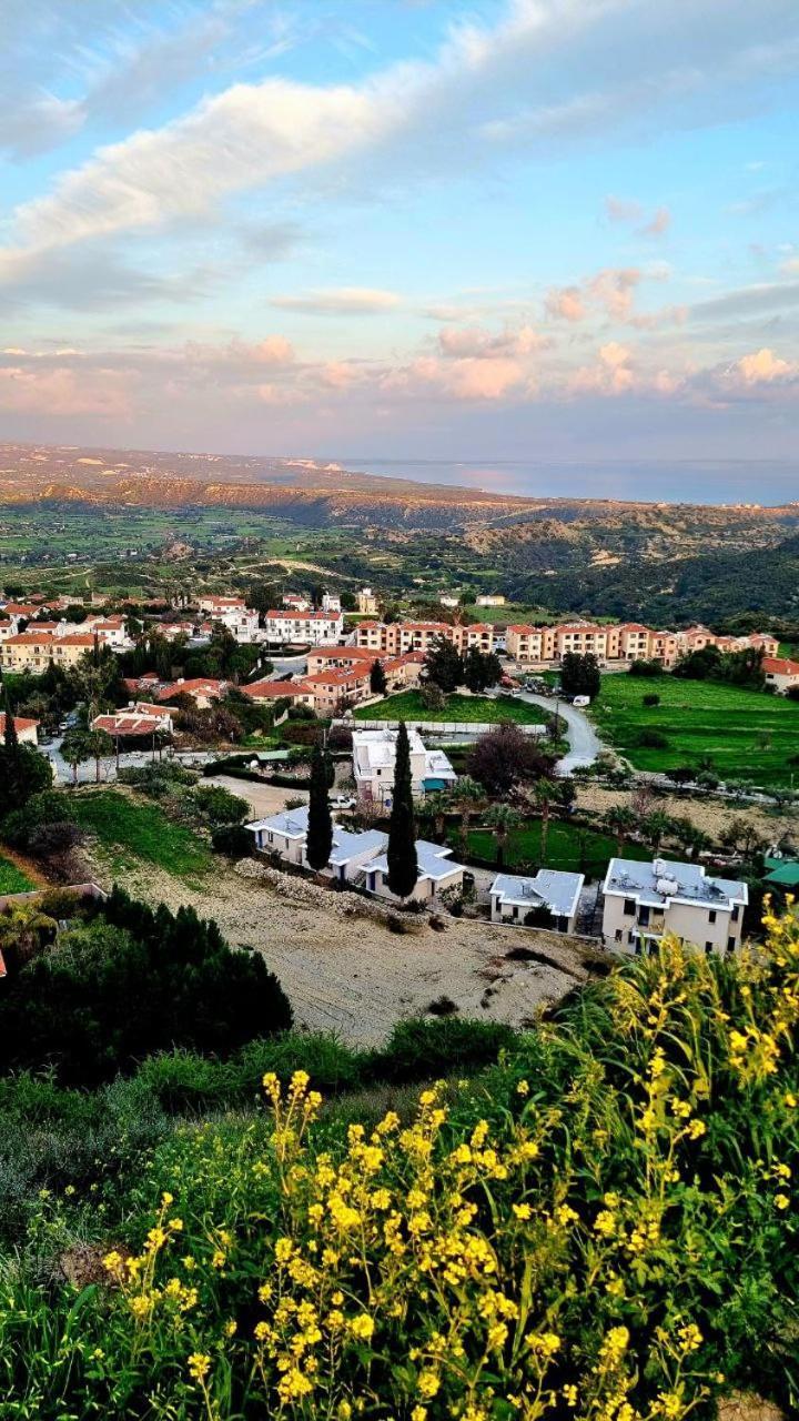 #pissouri #писсури 1+1bed