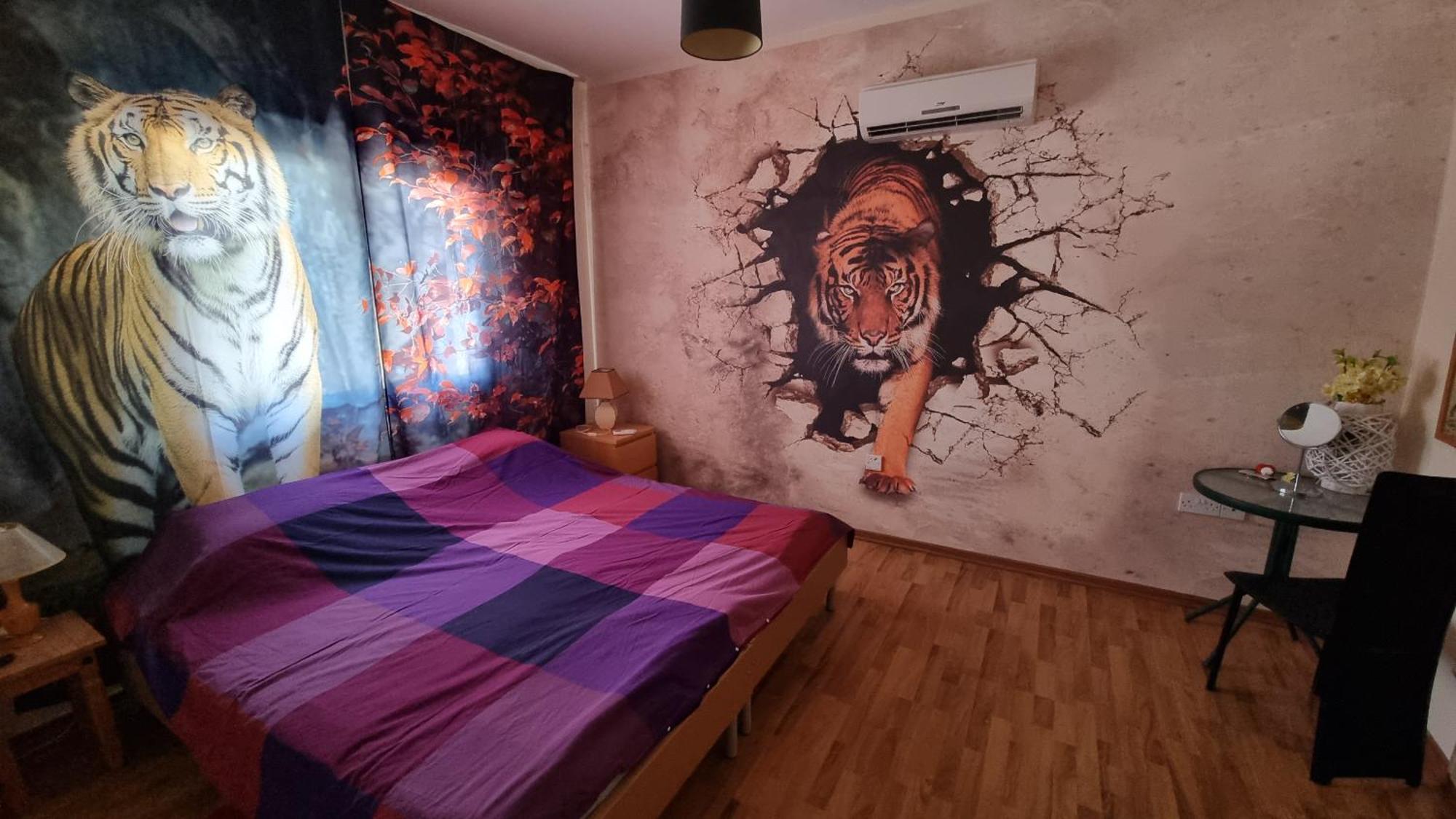 #pissouri #писсури 1+1bed Apartment