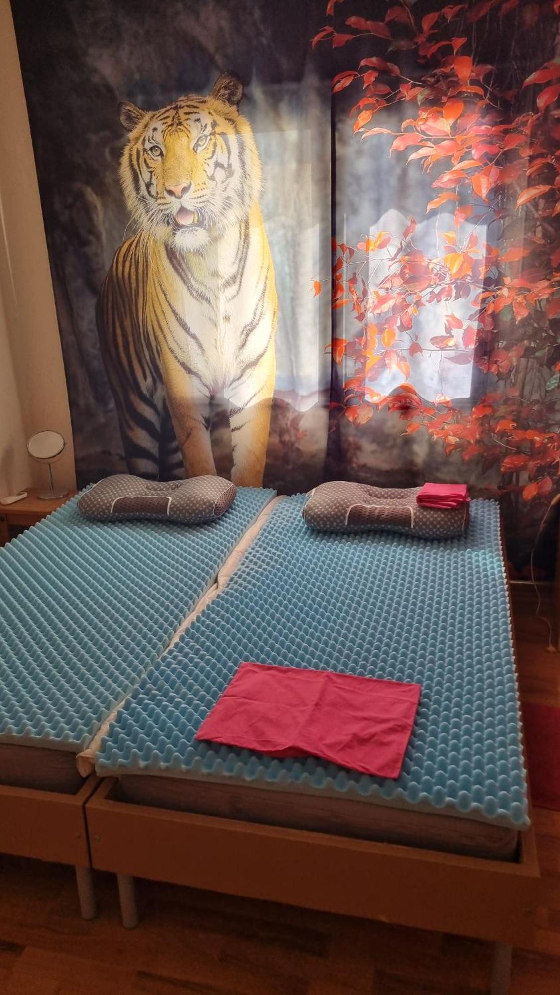 #pissouri #писсури 1+1bed *